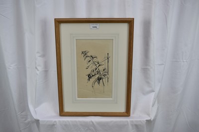 Lot 1376 - *John Nash (1893-1977) pencil and ink drawing - "Fuschia"
Provenance: The Nash Estate