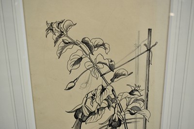 Lot 1376 - *John Nash (1893-1977) pencil and ink drawing - "Fuschia"
Provenance: The Nash Estate