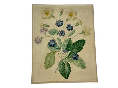 Lot 85 - 19th / early 20th century watercolour botanical studies, the largest 28 x 22cm. (4)