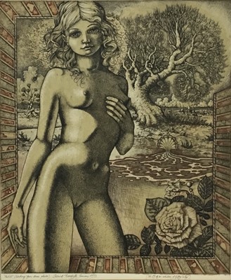 Lot 75 - Patrick Woodroffe (born 1940) - "Alice" (Etching from three plates) No.29 of an edition of fifty only, signed and dated January 1973.
