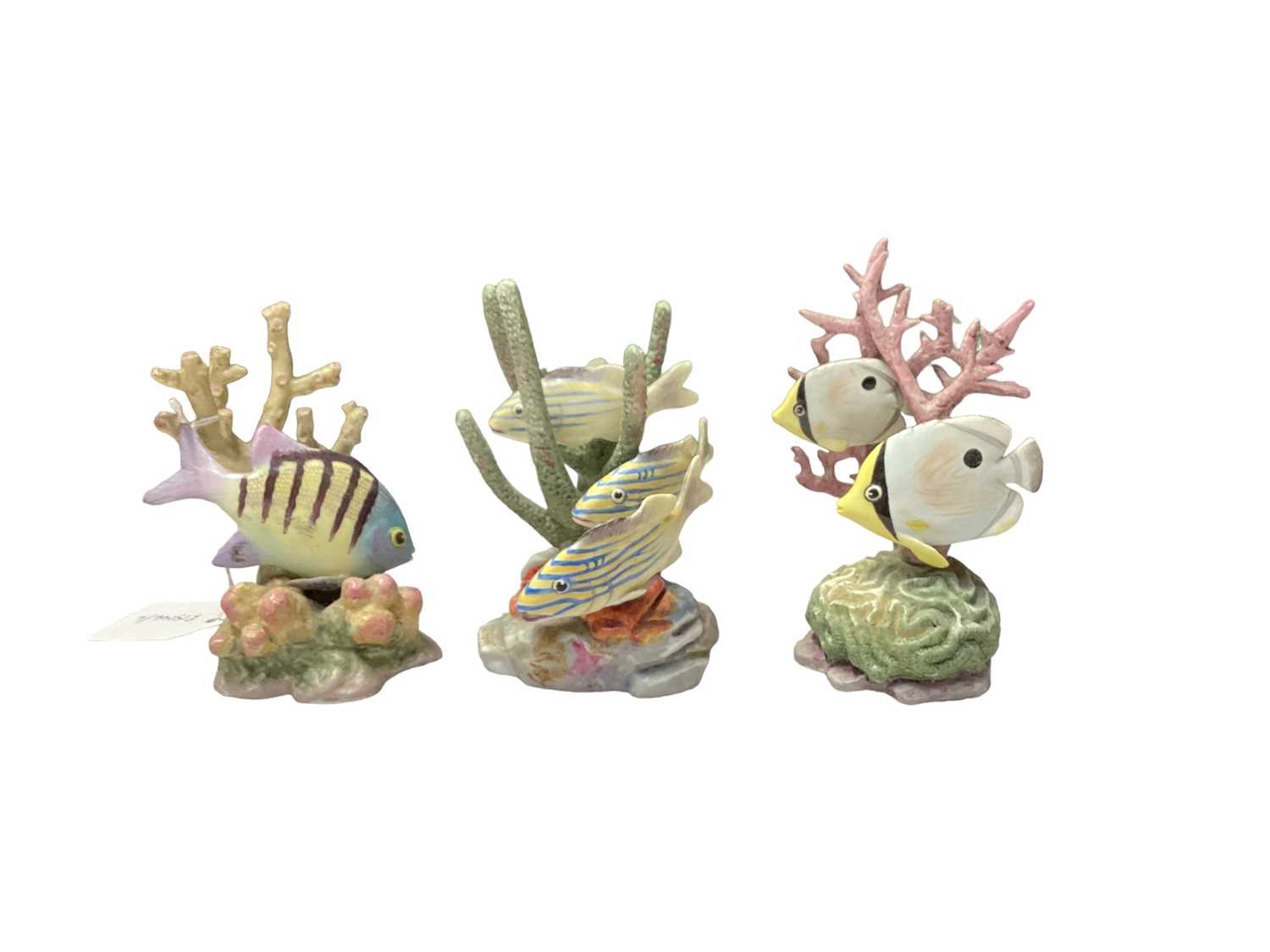 Lot 1100 - Collection of six Royal Worcester ornaments of tropical fish, modelled by R. Van Ruyckwilt: Red Hind 3572, Four Eyed Fish 3573,Blue Angel 3574, Sergeant Major 3575, Yellow Grunt 3576, Spade Fish 35...