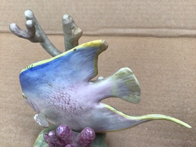 Lot 1100 - Collection of six Royal Worcester ornaments of tropical fish, modelled by R. Van Ruyckwilt: Red Hind 3572, Four Eyed Fish 3573,Blue Angel 3574, Sergeant Major 3575, Yellow Grunt 3576, Spade Fish 35...