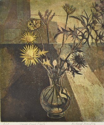 Lot 1156 - *Richard Bawden (b.1936) signed artists proof etching - 'Small Dried Plants', 18.5cm x 16cm, dedication verso from the artist and his wife, in glazed frame