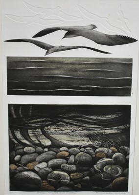 Lot 1159 - Elizabeth Morris, contemporary, signed artists proof etching - 'Sea, heights and depths', 82cm x 54cm, in glazed frame