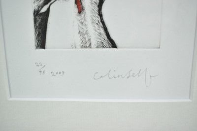 Lot 1188 - Colin Self (b.1941) limited edition etching - Untitled, signed and dated 2009, numbered 22/45, in glazed frame