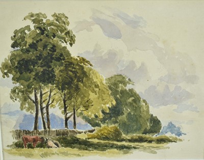 Lot 1070 - Seven 19th century English School watercolours to include Henrietta Woodman landscape, Fanny Wallins, Norfolk School watercolour and others, each in glazed frame (7)