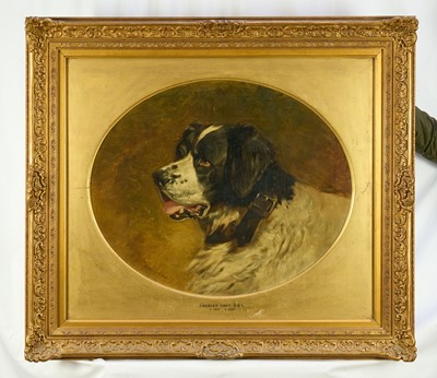 Lot 1215 - Charles Grey (1808-1892) oil on canvas - Portrait of a St. Bernard, signed, 48.5cm x 59cm, oval, in glazed gilt frame