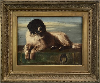 Lot 85 - After Sir Edwin Landseer a 19th century oil on canvas - St. Bernard dog, in original gilt frame. 29 x 39cm.