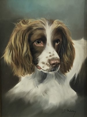 Lot 88 - David Stribbling (born 1955), oil on canvas - a liver and white Springer Spaniel, signed, in gilt frame.  40 x 30cm.