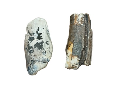 Lot 2546 - Two sections of mammoth tusk