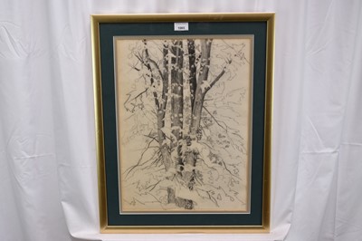 Lot 1065 - Paul Earee (1888-1968) graphite study - Tree, inscribed verso with authentication by the artist's daughter, 50cm x 36cm, in glazed frame