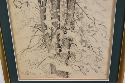 Lot 1065 - Paul Earee (1888-1968) graphite study - Tree, inscribed verso with authentication by the artist's daughter, 50cm x 36cm, in glazed frame