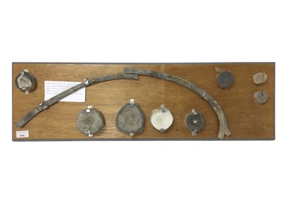 Lot 916 - Icthyosaur specimen, comprising rib, vetebrae and paddle bones