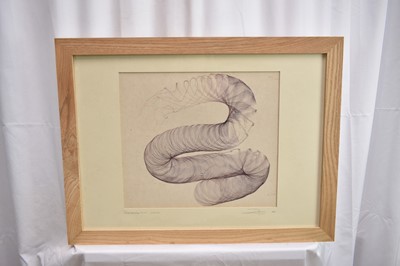Lot 1114 - Richard Drew, known as Zacron (British, 1943-2012) pencil - Time drawing no. 137 - 3 seconds, signed and numbered 1968, 30 x 35cm, glazed frame