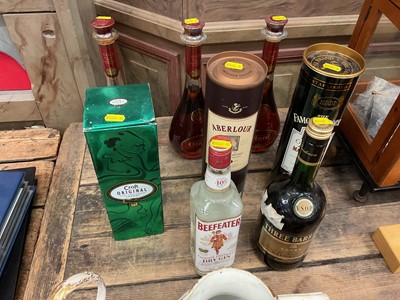Lot 38 - Eight bottles of spirits to include Otard Cognac, Beefeater Gin and others.
