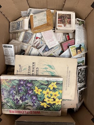Lot 35 - Collection of cigarette cards, loose and in albums (1 box)