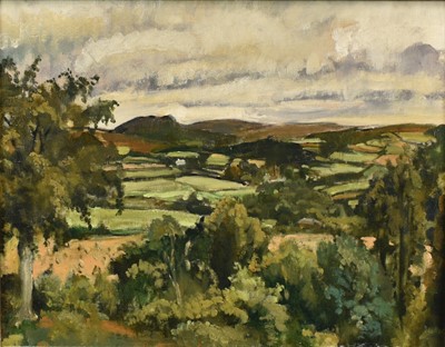 Lot 1173 - *Mary Millar Watt (1924-2023) oil on board, Hilly landscape, 27 x 33cm, framed