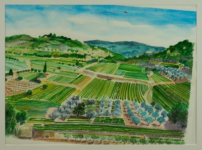 Lot 1305 - *Bernard Cheese (1925-2013) watercolour - Vineyards at Mirabel, Provence, signed, 53cm x 72cm, in glazed frame