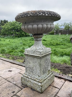 Lot 1551 - Pair of reconstituted stone garden urms of campagna form with egg and dart rim, reeded bowl on socle bases with a near pair of square plinths, 78cm high x 50cm diameter