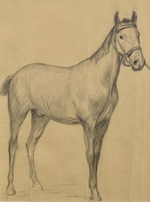 Lot 1275 - Robert G. D. Alexander (1875-1945) two Slade School sketches of horses, 30cm x 40cm and 37cm x 28cm, in glazed gilt frames (2)