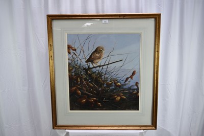 Lot 964 - Andrew Haslen (b. 1953) oil on canvas board - A Little Owl, signed and dated '87, 54cm x 49cm, in glazed frame