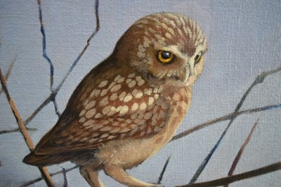 Lot 964 - Andrew Haslen (b. 1953) oil on canvas board - A Little Owl, signed and dated '87, 54cm x 49cm, in glazed frame