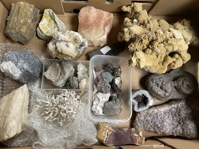 Lot 2422 - A collection of geological specimens and minerals