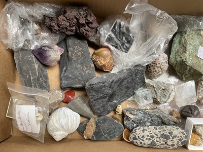 Lot 2430 - Collection of fossils and minerals