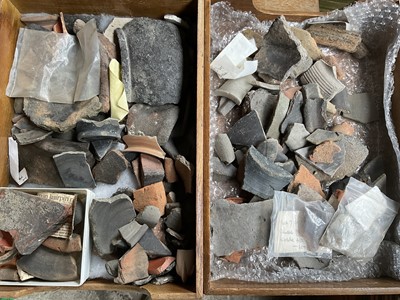 Lot 2433 - Collection of antiquities, pottery shards, worked flints etc and various natural history