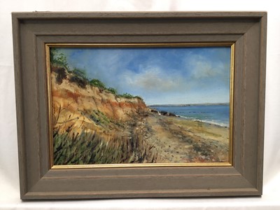 Lot 71 - Dave Ross, contemporary, oil on board - Mersea Shoreline, signed, 19cm x 29cm, framed