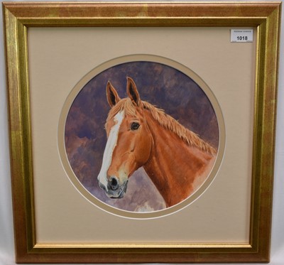 Lot 65 - English School, contemporary, watercolour - A Chestnut Hunter, tondo 28cm, in glazed gilt frame