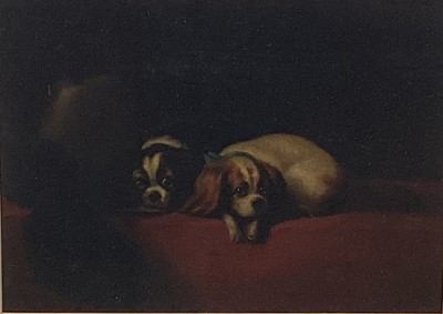 Lot 213 - English School, 19th century oil on canvas - Two spaniels, 26cm x 36cm, framed within mount, glazed frame