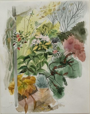 Lot 128 - Sheila Jackson (1922-2011) watercolour illustration from the book ‘Blooming Small’, signed to gallery label, 27cm x 22cm, in glazed frame