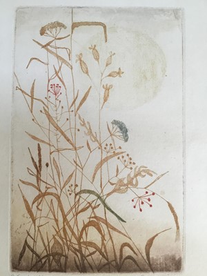 Lot 140 - Ota Janecek, (Czech, 1919-1996), reeds and flowers, colour etching, signed, 24cm x 15.5cm