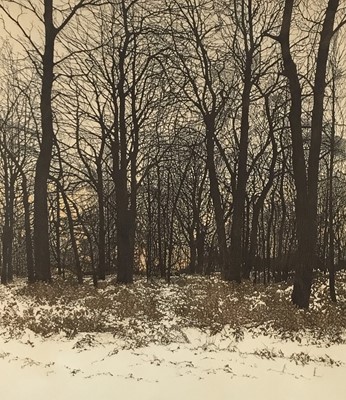 Lot 133 - Phil Greenwood (b.1943) two aquatints and etchings, 'Forest Light' & 'Water Lights', limited editions of 300, signed in pencil, 53cm x 47cm, framed (2)