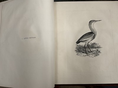 Lot 865 - Edward Backhouse Jnr. (1808-1879), bound collection of etchings of birds, circa 1840