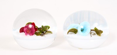 Lot 229 - Victor Trabucco, two glass paperweights, set with flowers on a white latticino ground, one signed 'Trabucco 2001'