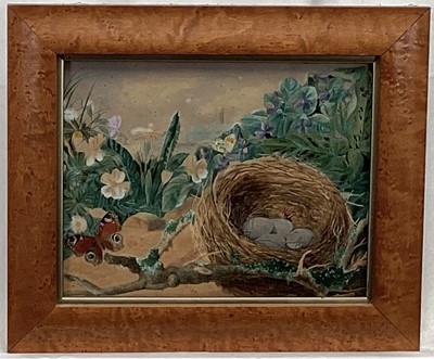 Lot 99 - Victorian watercolour - Birds nest, 19cm x 24cm, in maple frame