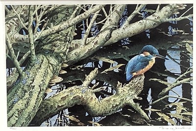 Lot 104 - Terence James Bond signed print - Kingfisher, 386/525, 30cm x 45cm in glazed frame (74cm x 84cm overall)