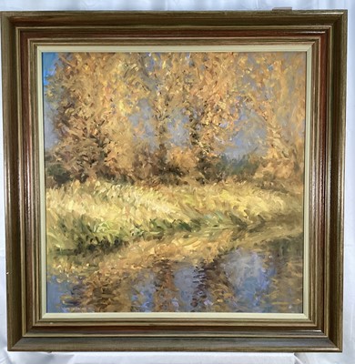 Lot 180 - John Osborne (b. 1939) oil on board - Sunlit Trees, signed, 61cm x 61cm, framed