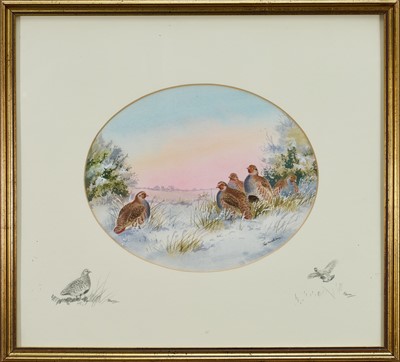 Lot 1231 - *Robert W. Milliken (1920-2014) pair of watercolours - English Partridge and Pheasants
