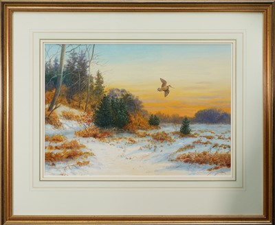 Lot 1230 - Richard Robjent (b.1937) watercolour - Evening Flight, Woodcock, signed and dated 1985, 36.5cm x 52cm, in glazed gilt frame