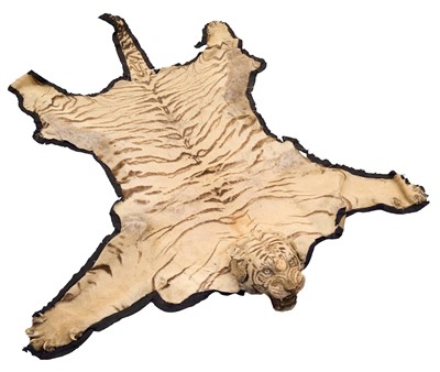Lot 1739 - Early 20th century tiger skin on black backing, probably by Van Ingen, nose to tail 260cm x paw to paw 190cm