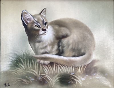 Lot 240 - Bernard Harris, oil on canvas, Burmese Cat, initialled and signed verso, in wooden frame. 31 x 40cm.