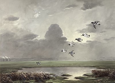 Lot 242 - David Scott, gouache, flight of oyster catchers over Burton Marshes, signed, in painted frame, 34 x 46cm.
