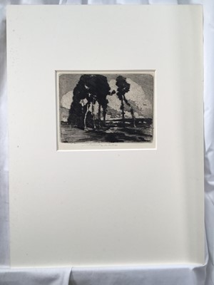 Lot 210 - William Lee Hankey (1869-1952) etching, landscape with pines, signed, plate 15 x 19cm, and another of a Continental town square, signed and inscribed 2nd Trial Proof, both mounted. (2)