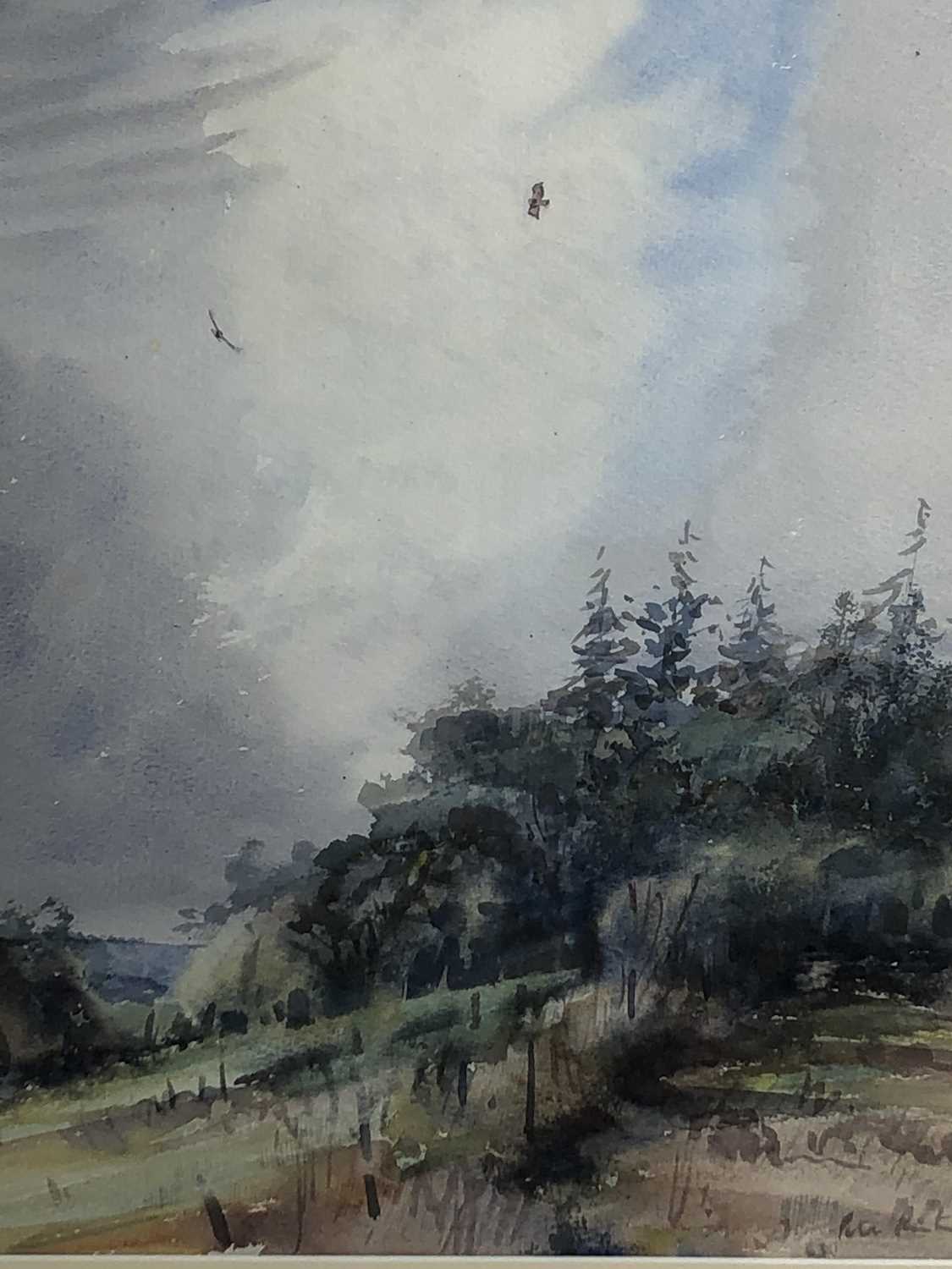 Lot 178 - Peter Partington, contemporary, watercolour - West Country Buzzards, signed, in glazed gilt frame, 38cm x 33cm