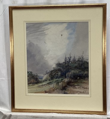 Lot 178 - Peter Partington, contemporary, watercolour - West Country Buzzards, signed, in glazed gilt frame, 38cm x 33cm
