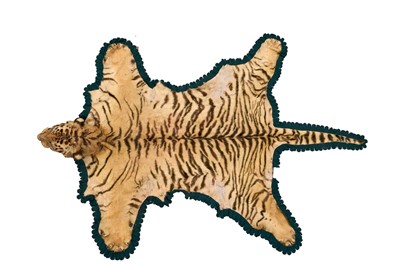 Lot 1572 - Good early 20th century Tiger skin rug attributed to Van Ingen, full head mount, on backing, nose to tail 240cm, paw to paw 150cm