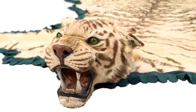 Lot 1180 - Good early 20th century Tiger skin rug attributed to Van Ingen, full head mount, on backing, nose to tail 240cm, paw to paw 150cm